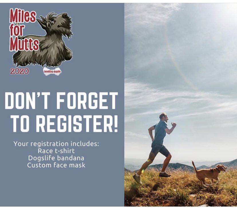dogslifeorg's tweet photo. Don’t forget to register for Miles for Mutts! For $25, you get cool swag AND a chance to save a dog’s life. https://t.co/6WLaV3hgh6.    #milesformuttsdfw #virtualrun #dogs #saveDogslife https://t.co/YRt8hQweVt