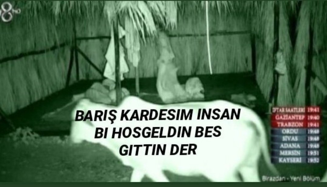 Gittik geri geldik bir hoş geldin beş gittin demediniz aşk olsun

#cembar