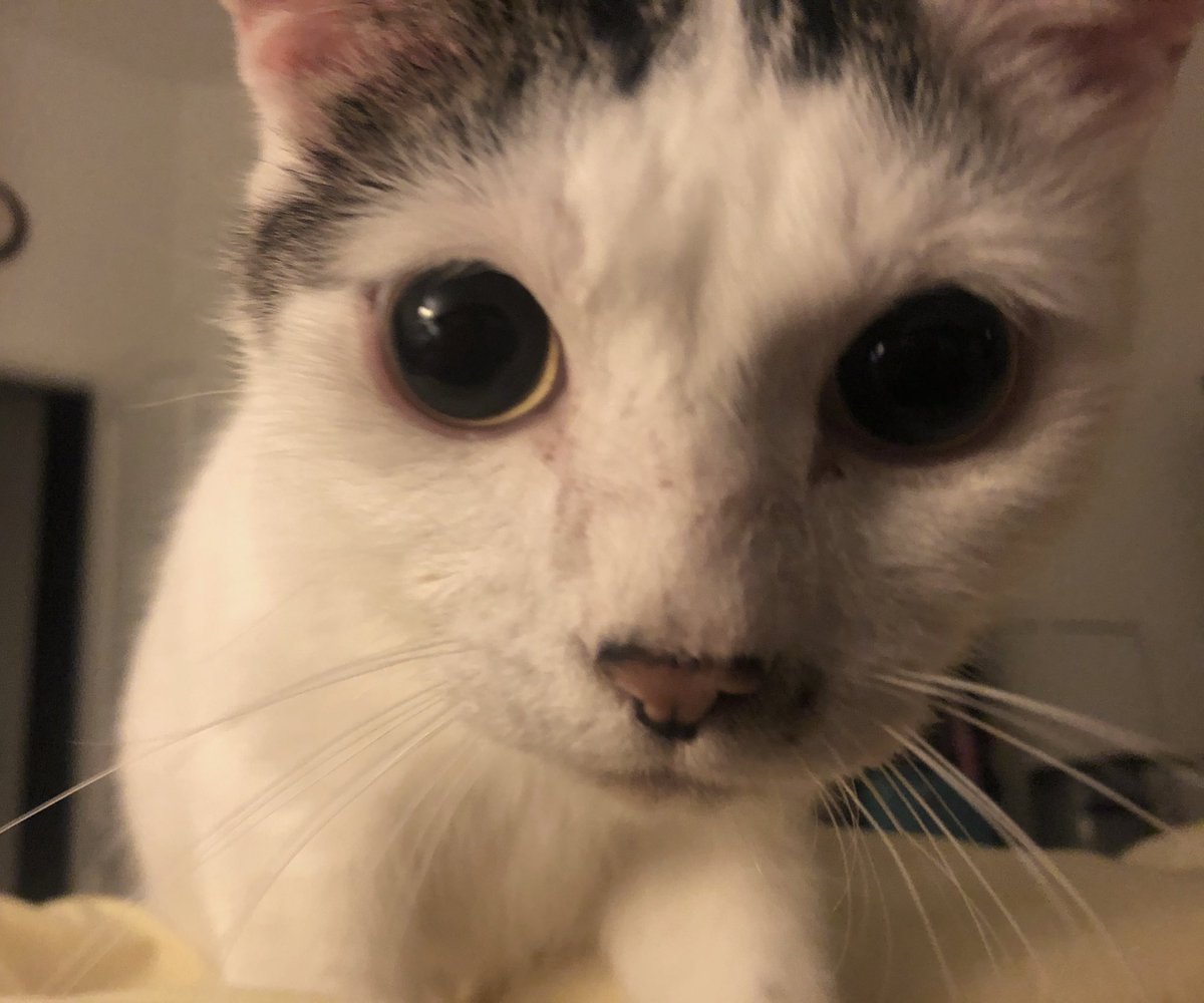 you got games on your phone?