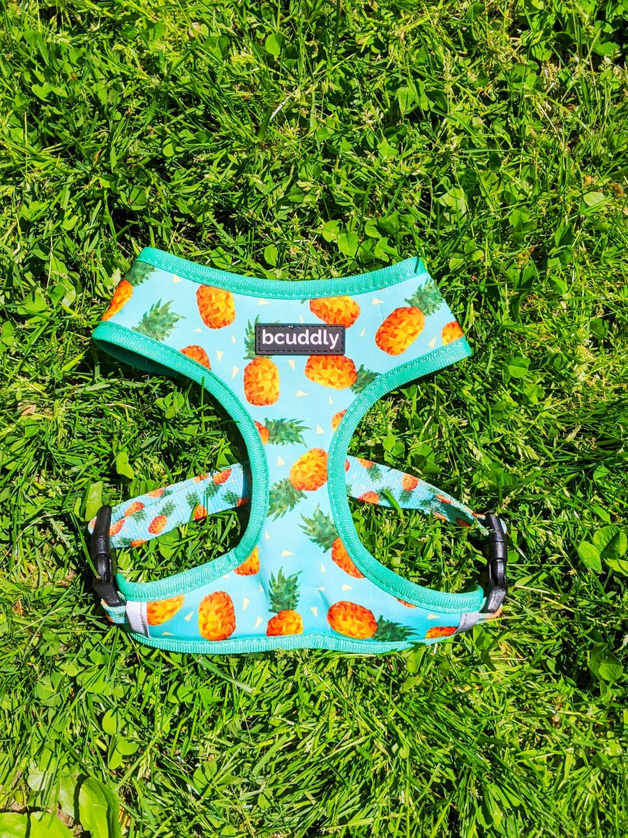 CuddlyBoutique's tweet photo. This "Pineapple Paw-ty" Harness puts a twist on two summer designs - all while being safe and functional! Made with breathable mesh, your pup will stay stylish AND cool 🐾😎 Buy yours today: https://t.co/VMGZtk00Wb!
#thecuddlyboutique #hobokendogs #dogsofhoboken https://t.co/dZ6aAiMjMZ