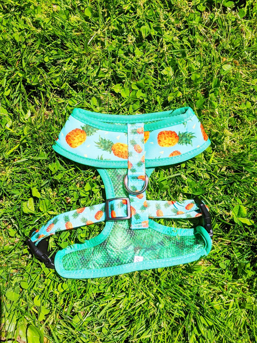 CuddlyBoutique's tweet photo. This "Pineapple Paw-ty" Harness puts a twist on two summer designs - all while being safe and functional! Made with breathable mesh, your pup will stay stylish AND cool 🐾😎 Buy yours today: https://t.co/VMGZtk00Wb!
#thecuddlyboutique #hobokendogs #dogsofhoboken https://t.co/dZ6aAiMjMZ