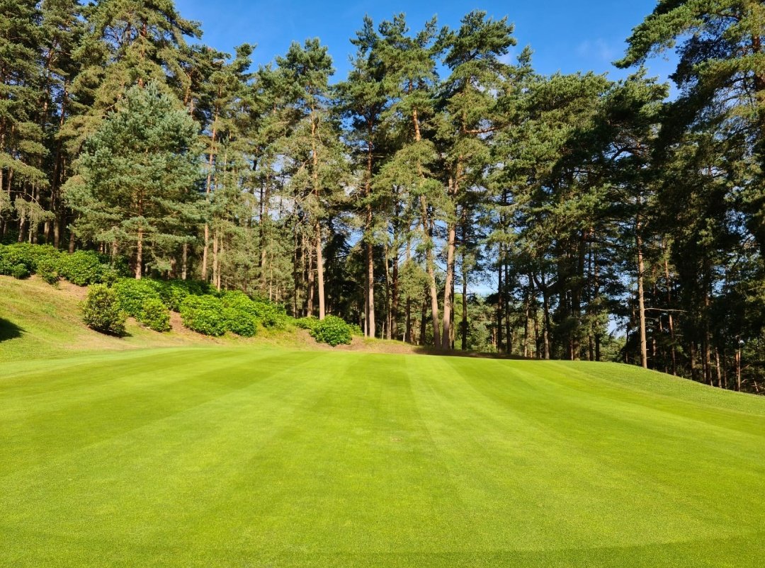 ICL_Turf's tweet image. The greens at @GkThorns looking good this morning following the application of a Sportsmaster WSF High N 30-0-14 (15kg/ha) and @SyngentaTurfUK Primo Maxx II (0.2L/ha) tank-mix.

#productsthatperform