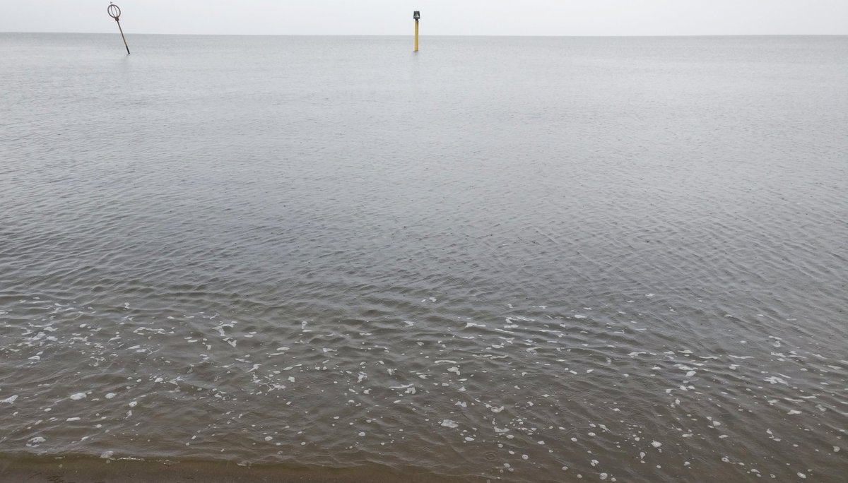 jennycapondraws's tweet photo. A grey day on the shoreline. #texturehuntergatherer #refocus #butnottoomuch
#verywettrainers #doh https://t.co/ufnv8JN2pJ