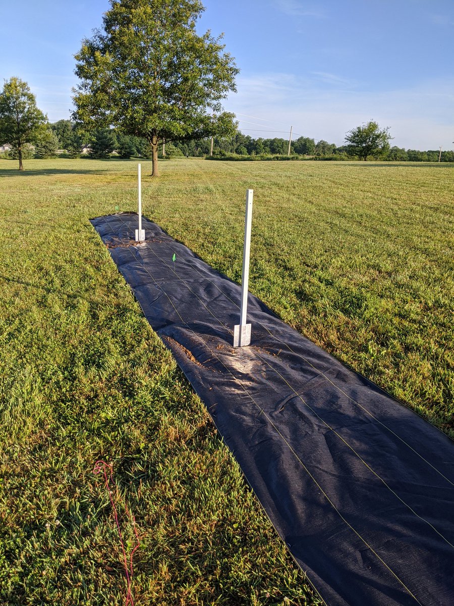 shortcircuitbru's tweet photo. @ibexgrows 15' #hoptrellis system installation underway! Full install video coming soon. Are you growing hops? What kind?
#homegrown #homegrownhops #growyourown #freshhops #hopseason #hopgrowing https://t.co/aP4Bvgz9q2