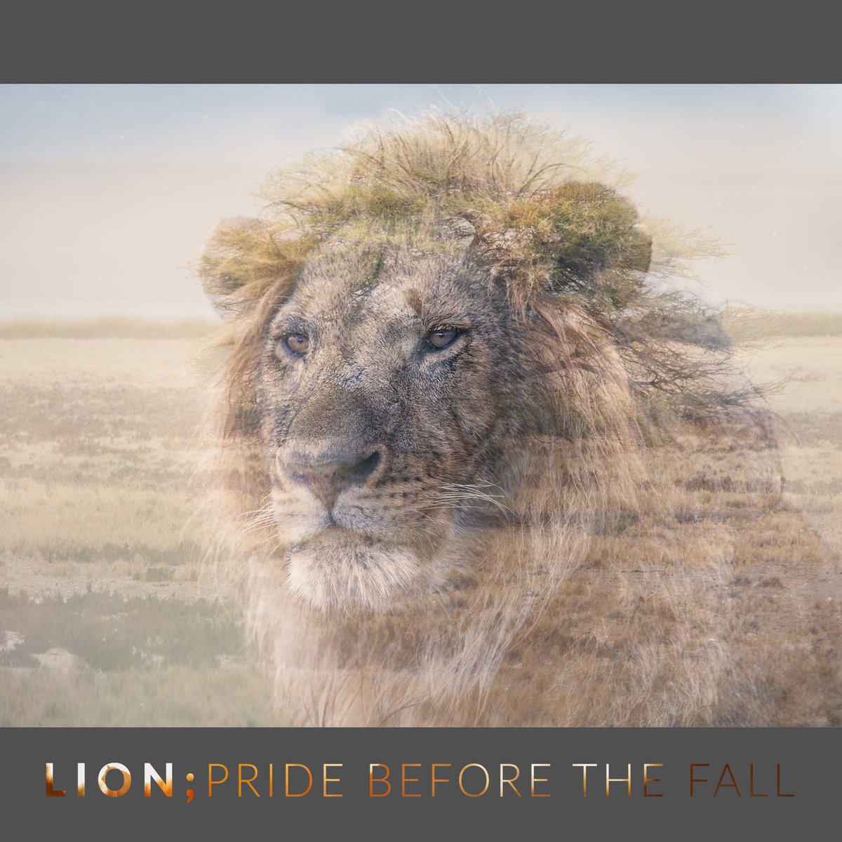 “This book stands as a reminder of what we stand to lose, if we don’t act now” Virginia McKenna OBE.

Click this link to back our project: kickstarter.com/projects/pride…

 📷  <a href="/georgelogan/">George Logan Studio</a>