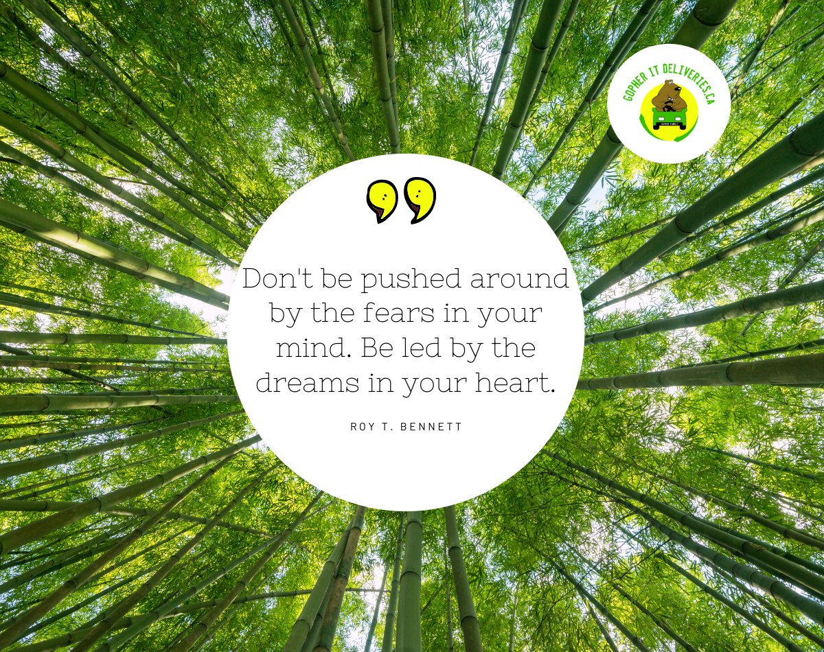 GopherItOttawa's tweet photo. “Don't be pushed around by the fears in your mind. Be led by the dreams in your heart.” ― Roy T. Bennett

#inspiration #motivation https://t.co/vUcXz6iiZP