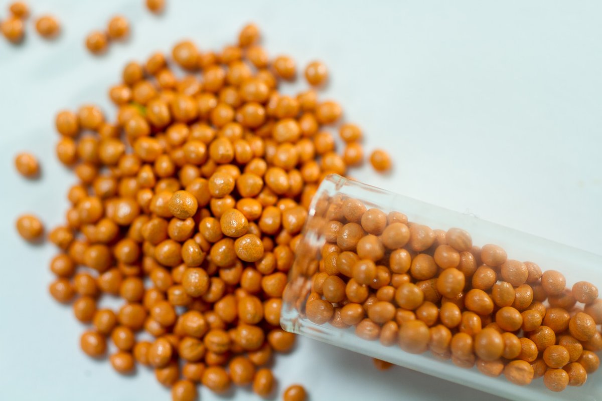 EuroseedsEU's tweet photo. The treatment of seeds with plant protection products assures both seed and plant health 🌱🌱 by restricting pests and pathogens.
https://t.co/xSTZbuhILf
#seedtreatment #planthealth 

Picture credit: Suet https://t.co/T932Aib1z6