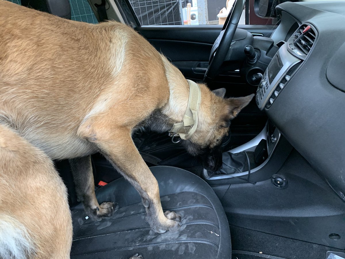 A hard days work! #EUBullseye #cbrn