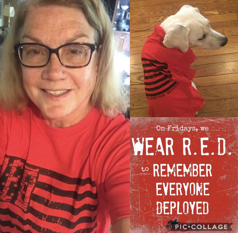 On Fridays We Wear R.E.D.🇺🇸
We are proud of our armed forces and their families. You maybe far away but are always in our hearts and never forgotten🇺🇸. 
Gipper got into the spirit this week too! #ourvetcourtjudge #wearredonfriday #ArmedForces #REDFriday