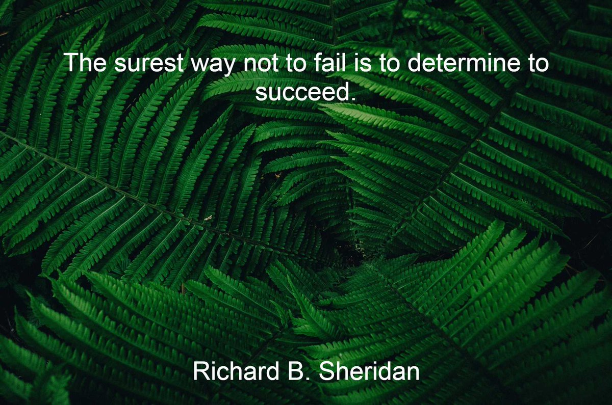 ARFRanch2023's tweet photo. The surest way not to fail is to determine to succeed. - Richard B. Sheridan
https://t.co/54nDrK6HLV https://t.co/TVK6xUla9N
