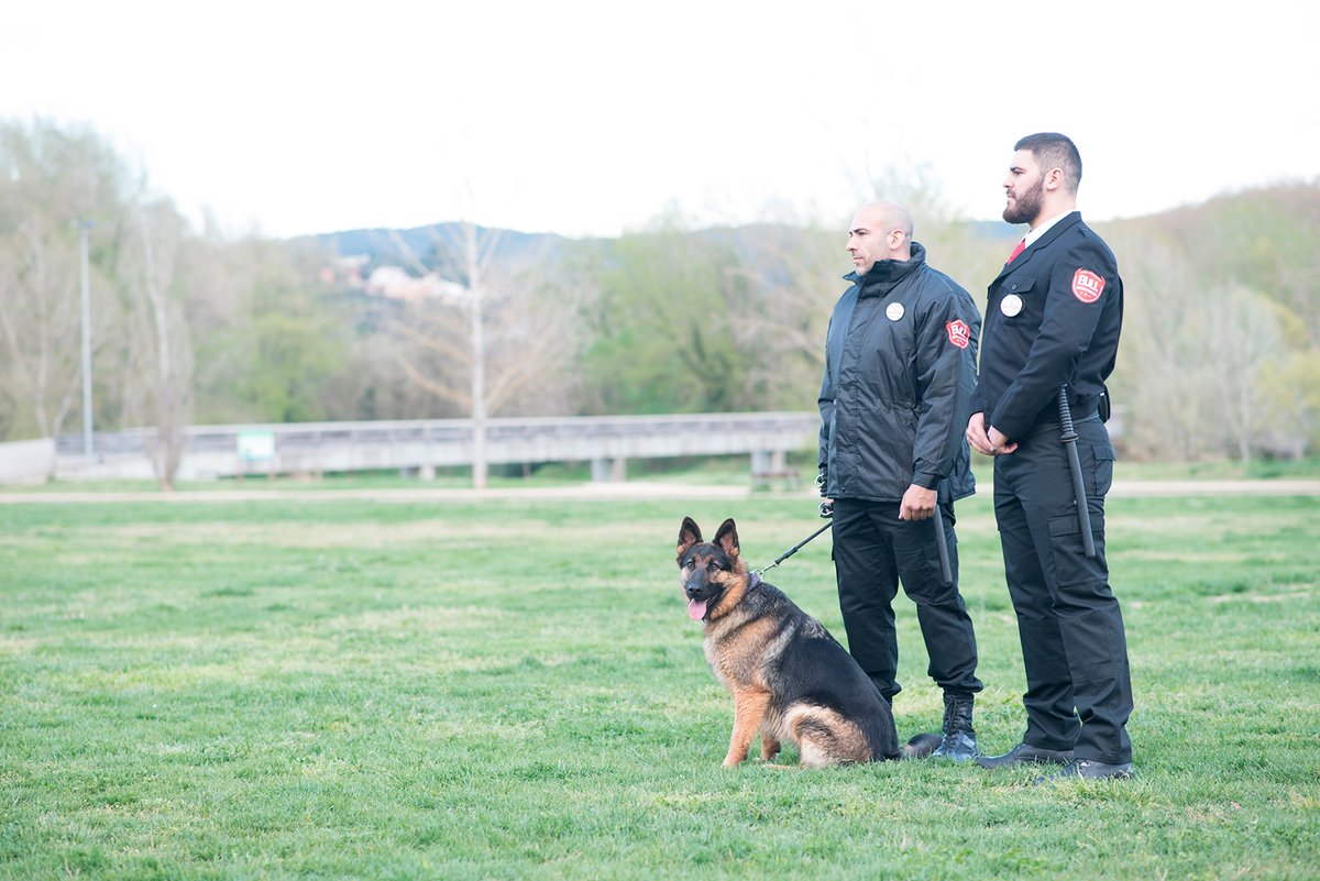 AcademiaBull's tweet photo. ¿Sabías que en cinco semanas puedes ser vigilante de Seguridad? 👌 En la Academia Bull ofrecemos un curso muy completo para que puedas lograr tu sueño.

Descúbrelo en nuestro nuevo artículo de blog 👉 https://t.co/ArO6NrP1SJ

#AcademiaBull #blog #noticias #seguridad #curso https://t.co/vX2plNtdSf