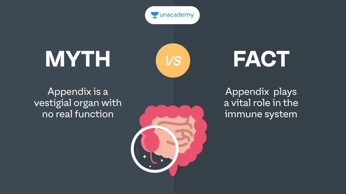 Unacademy on Twitter: