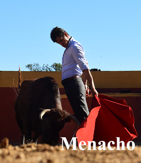 objetivoeltoro's tweet image. Tarde de campo.... El extraordinario momento de #DanielLuque ante las personalísimas embestidas de los #Valrubio &amp;amp; #Valdeflores 
La clase se cotiza al alza. Una maravilla! @zunigatoros 
#VegaVillar #clase
Proximamente más...😉