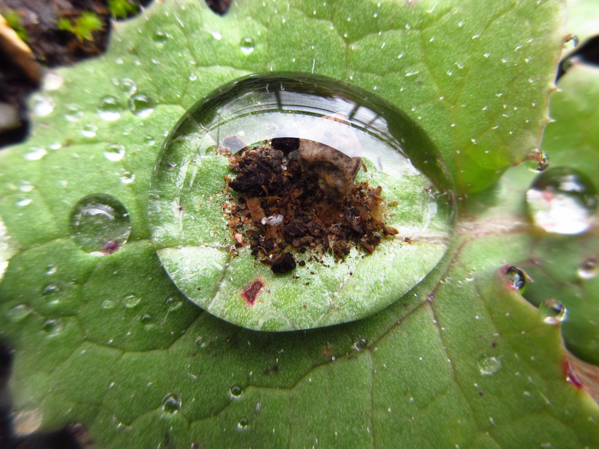 naturebygreen's tweet photo. Really good to be back planning #NatureRichLearning sessions with #schools from September.
Many challenges to work through, but so looking forward to exploring and learning with children
#BubblesOfWonder https://t.co/uVbOSKEVoq