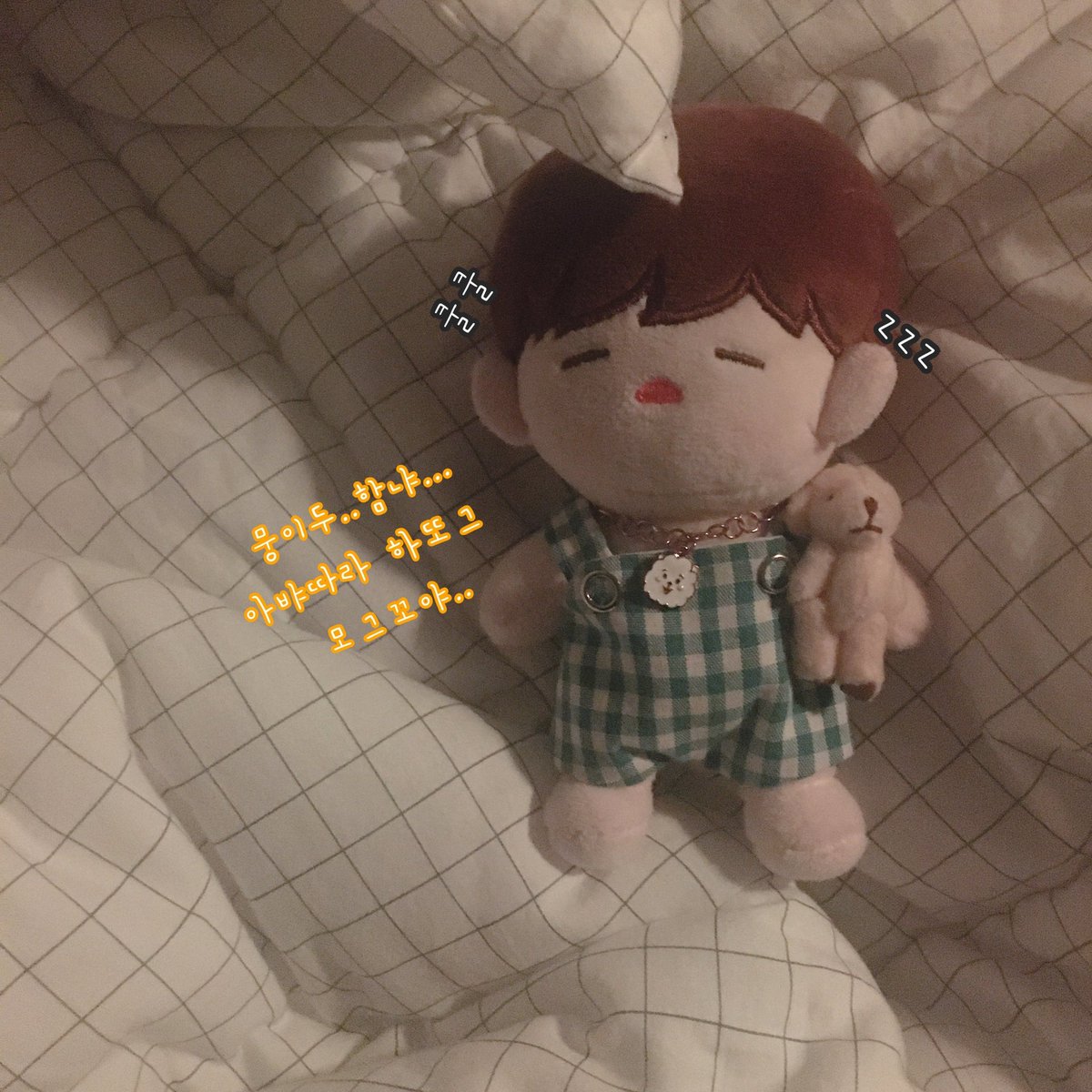 잘자요 뭉이~~❤️

#짼뭉이 #김재환인형