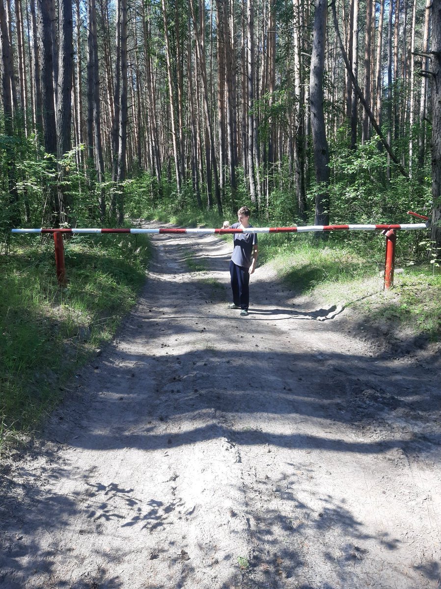 83maksim's tweet photo. Выполнение работ по госзаданию 2020. https://t.co/jeTvJiCVvv