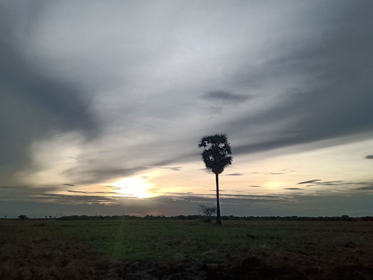 Same time as yesterday....how beautiful it was No filter  #NatureLove #MadhuriClicks