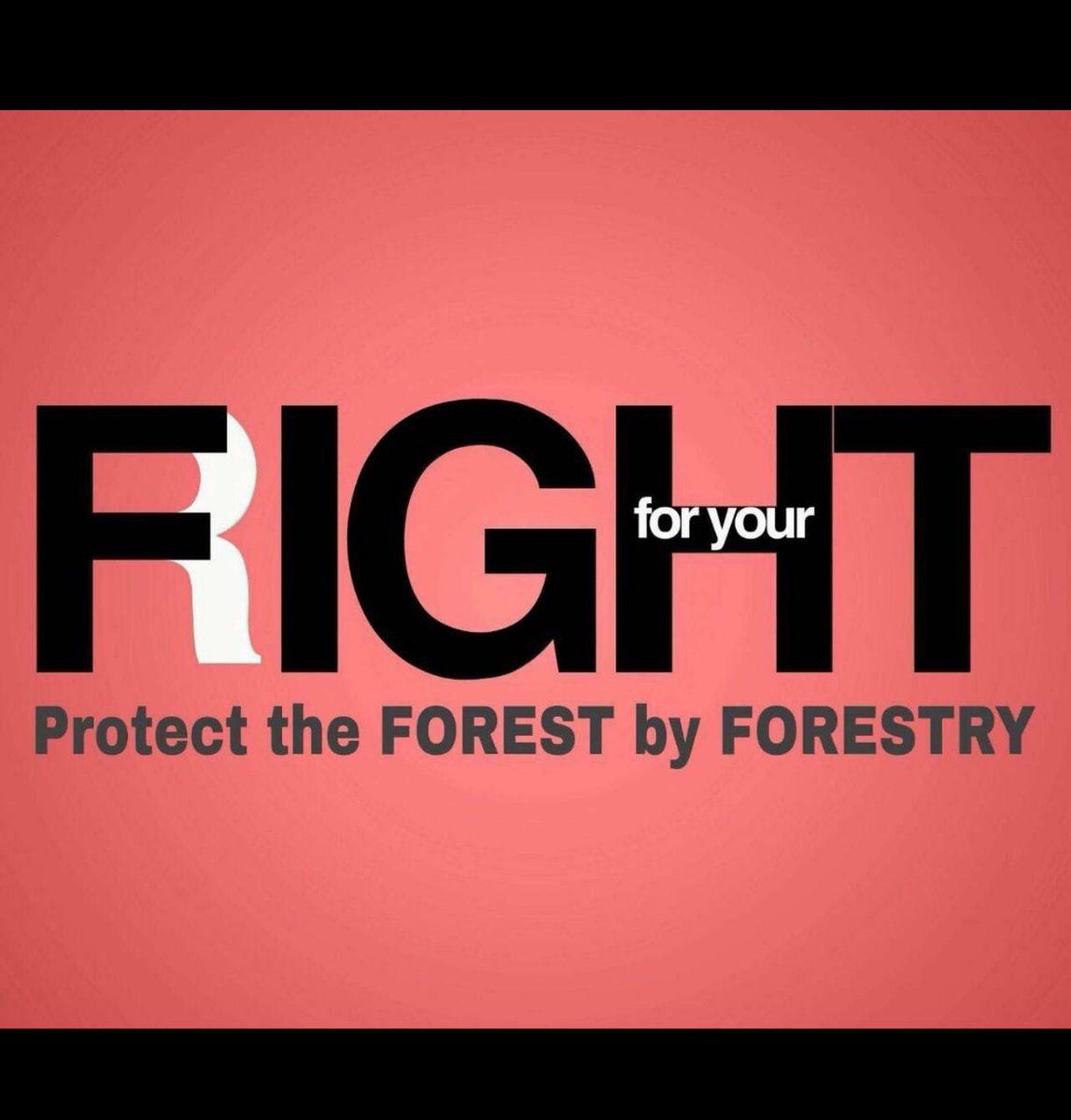 AshirwadTripat6's tweet photo. Forestry should be the sole eligibility. We want our rights. https://t.co/Wi4h9lCt8I