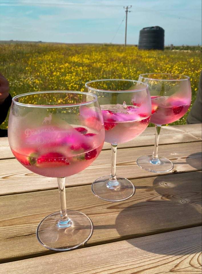 deer_distillery's tweet image. G&amp;amp;T Fridays have become something of a tradition here at the distillery! This week we’re tasting the first trial batch of our next upcoming spirit... more info on that coming soon! 🤫
What’s your tipple this Friday? 🥂
#orkney #deernessdistillery #scottishgin #gin #ginandtonic