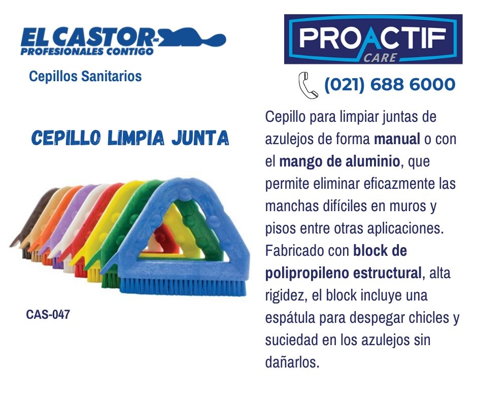 Proactif Care on X: Cepillos El Castor: Cepillo para limpiar juntas de  azulejos de forma manual o con el mango de aluminio, que permite eliminar  eficazmente las manchas difíciles en muros y