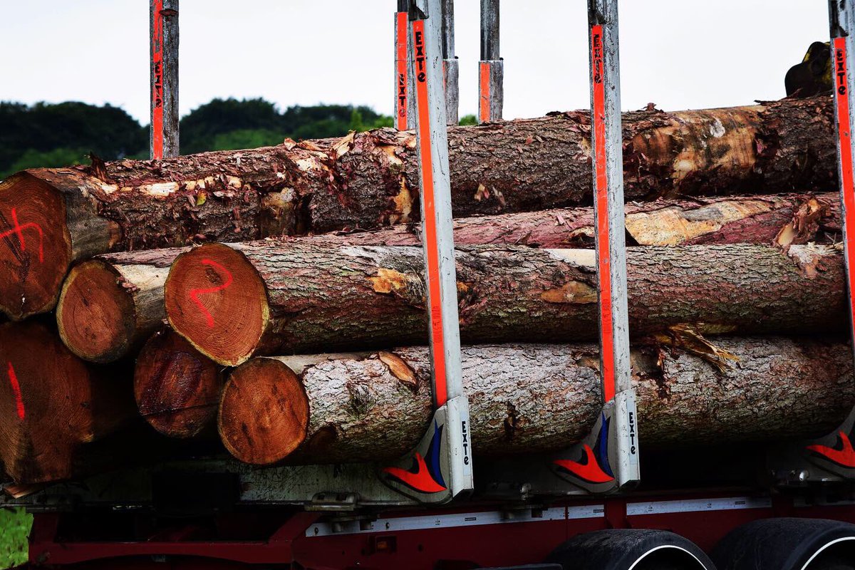 Traditional Logs (@TraditionalLogs) / Posts / X