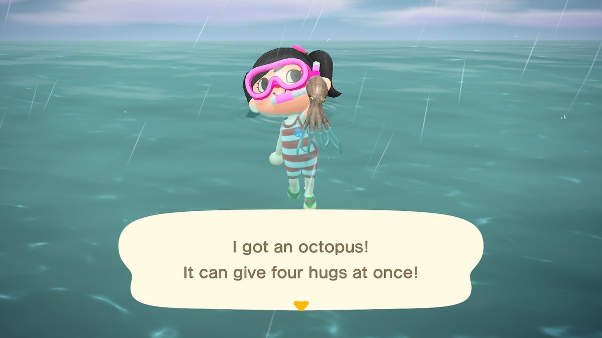 KiuACNH's tweet photo. #AnimalCrossing #ACNH #NintendoSwitch https://t.co/TPOXzkgg1W