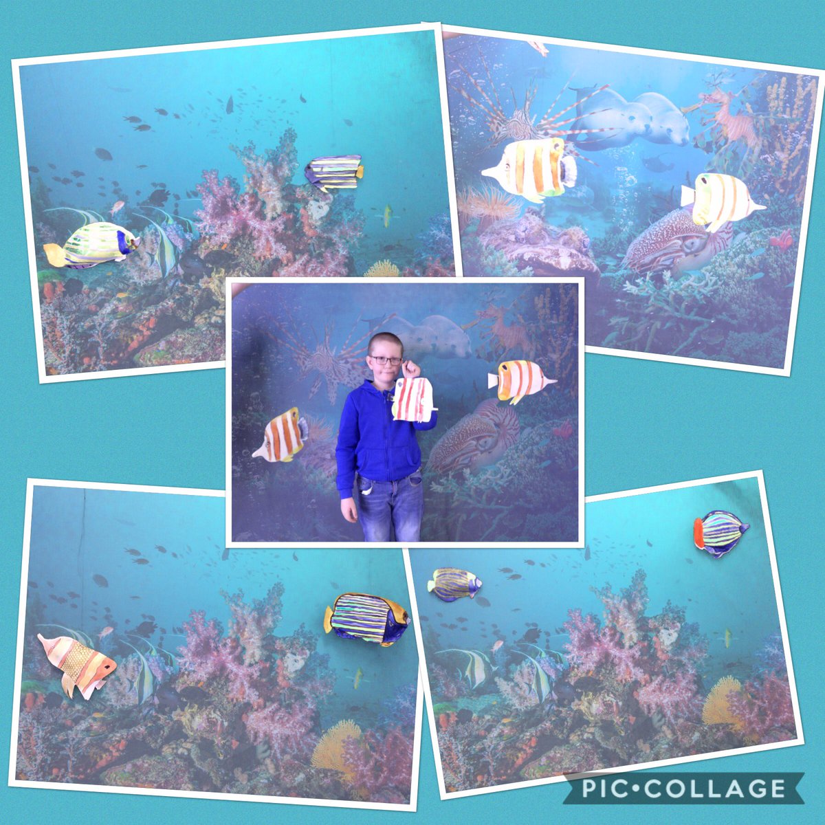 wideycotehele's tweet photo. We had lots of laughs using the green screen to create underwater scenes with our angelfish and butterfly fish. 😊🐠👍🏻🌊🐟 #oceancurriculum @NMAPlymouth @OceanCTrust https://t.co/gbxLOVmtlC