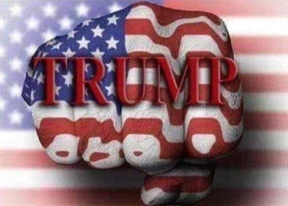 TexasAngel6913's tweet photo. TRUMPTRAIN2020 https://t.co/zwO9UKDfe7
