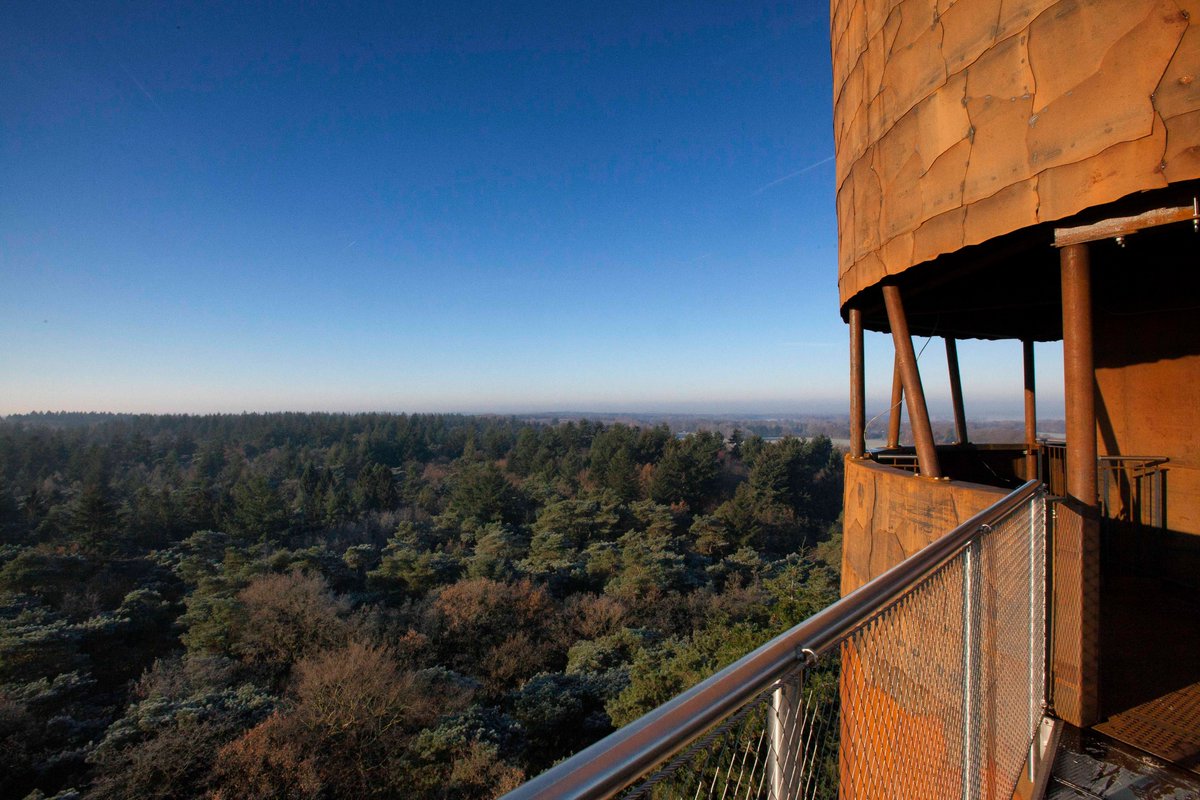 Vanaf 10 juli is Bosbergtoren weer geopend! De uitkijktoren is elke dag geopend van 10.00 tot 20.00 uur gedurende het hoogseizoen (t/m augustus). ooststellingwerf.nl/bosbergtoren-w…