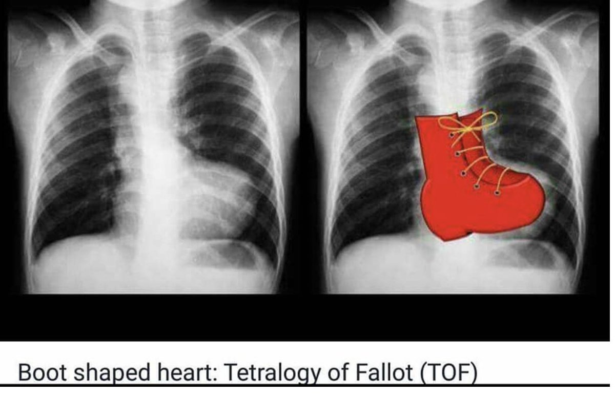 Dania Abu-Jubara tweet media