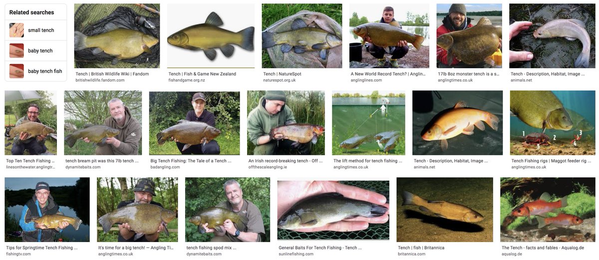 The ImageNet dataset is built from internet images.Here's an example image search result for "tench" (a kind of fish). Does having a consistent category of images in which a dominant element is a human mess things up? Yes. Yes, it does. https://aiweirdness.com/post/622648824384602112/when-data-is-messy