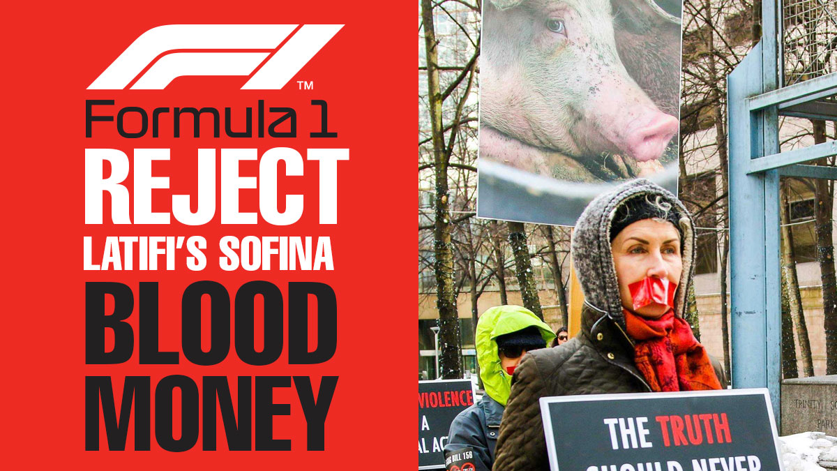 Auckland.Animal.Save.NZ tweet media