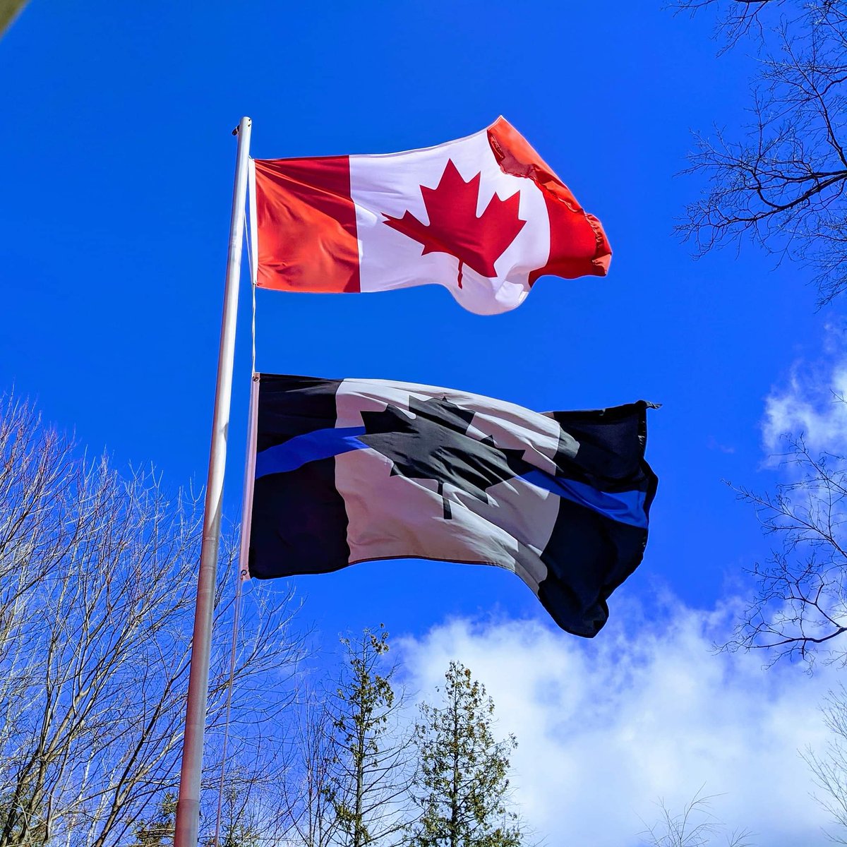 Mike Killingsworth 🇨🇦 tweet media