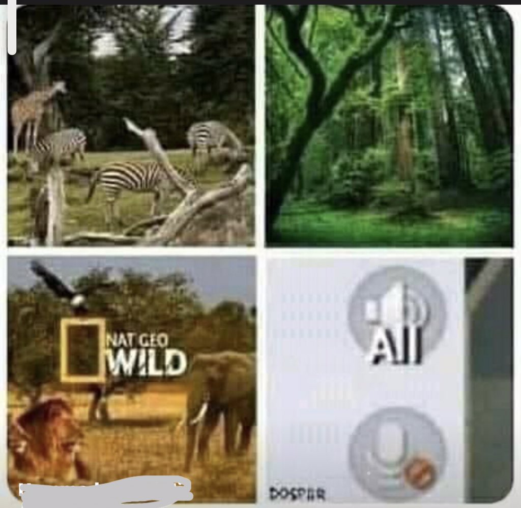 umerguj29069269's tweet photo. Places where you will find wild animal 
#UNBANPUBGPAKISTAN #UNBANPUBG https://t.co/rbPnuiMfDa