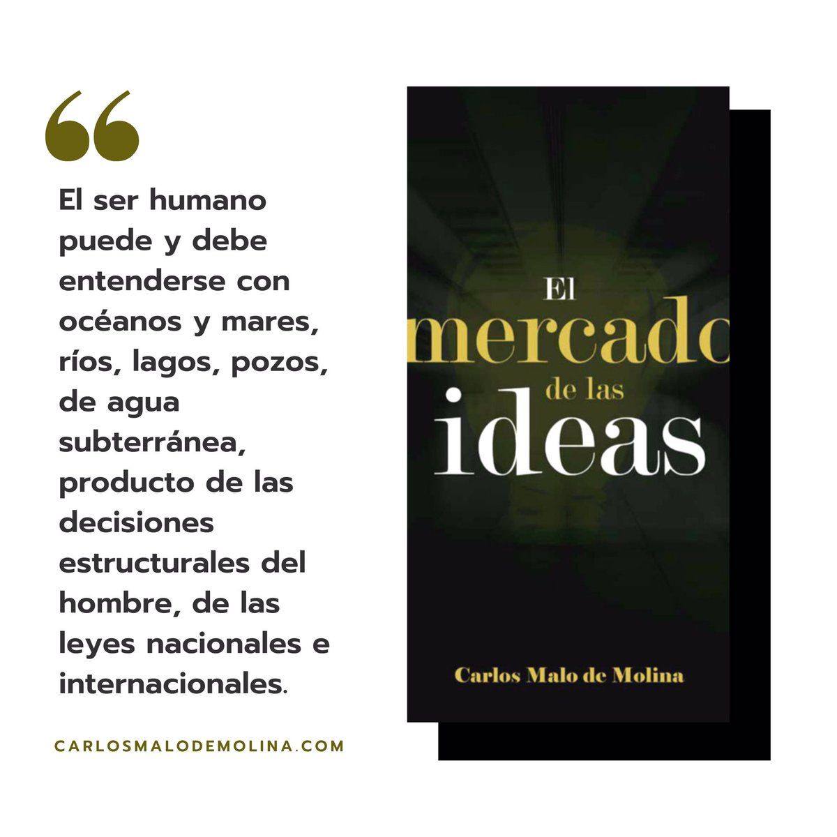 Carlos Malo de Molina tweet media