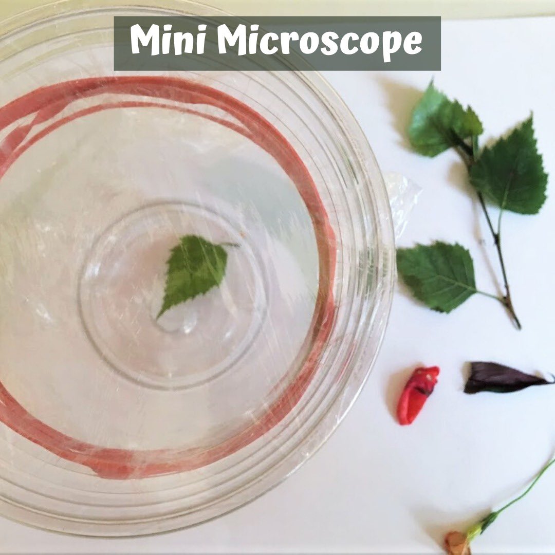 discoverWCM's tweet photo. Do you have extra marshmallows going stale from 4th of July festivities or from last week’s activity? Are you looking for a way to spice up your daily walks? 🔬Well, look no further than our WCM At Home activities!
https://t.co/FnNkBVpWqA
#WCMAtHome https://t.co/F0lSAPNlDu