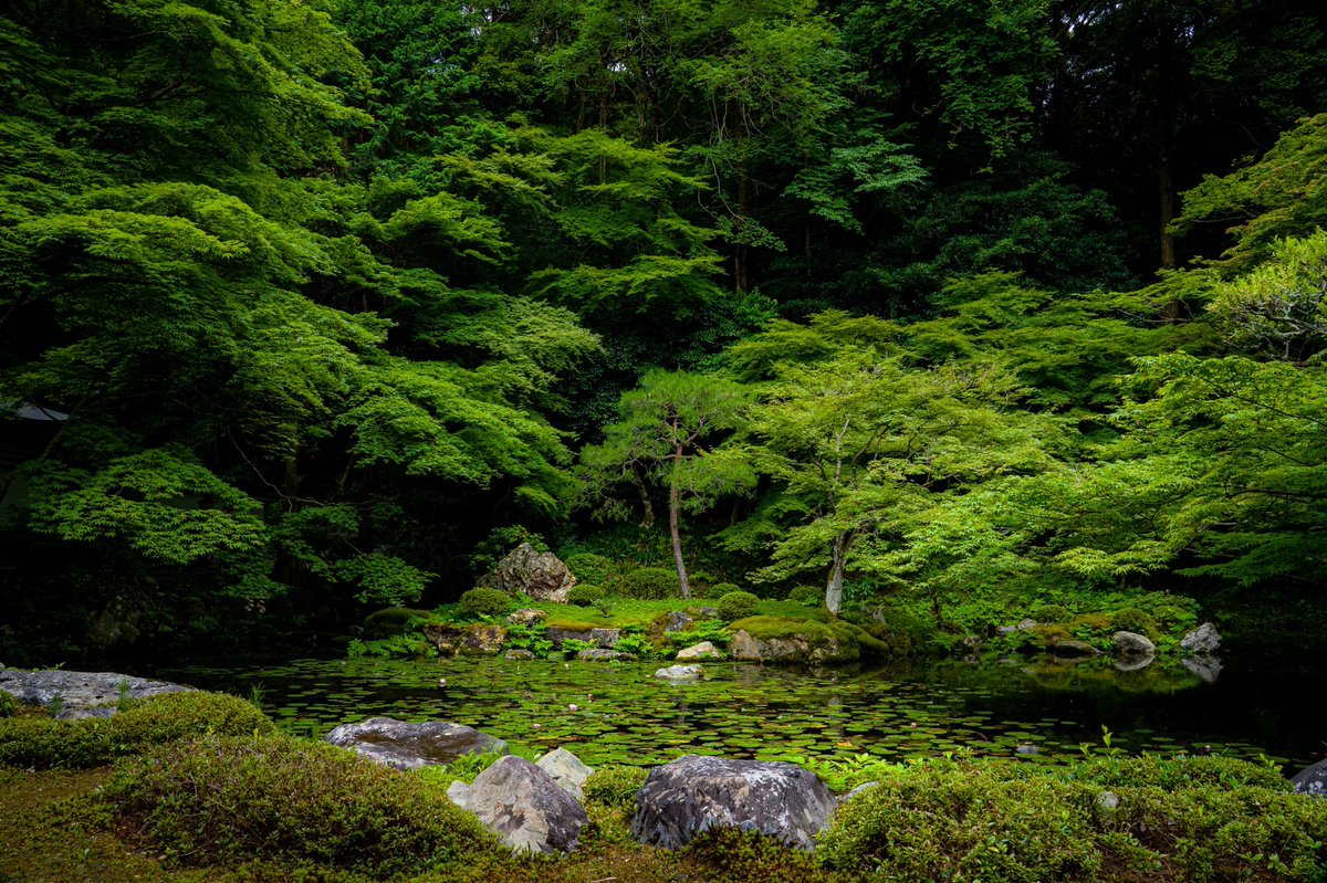 jackie_photo_'s tweet photo. 多くは語りません
これが今の僕の最高傑作です
どうか見て下さい
よろしくお願いします https://t.co/l2jXCr9oj7