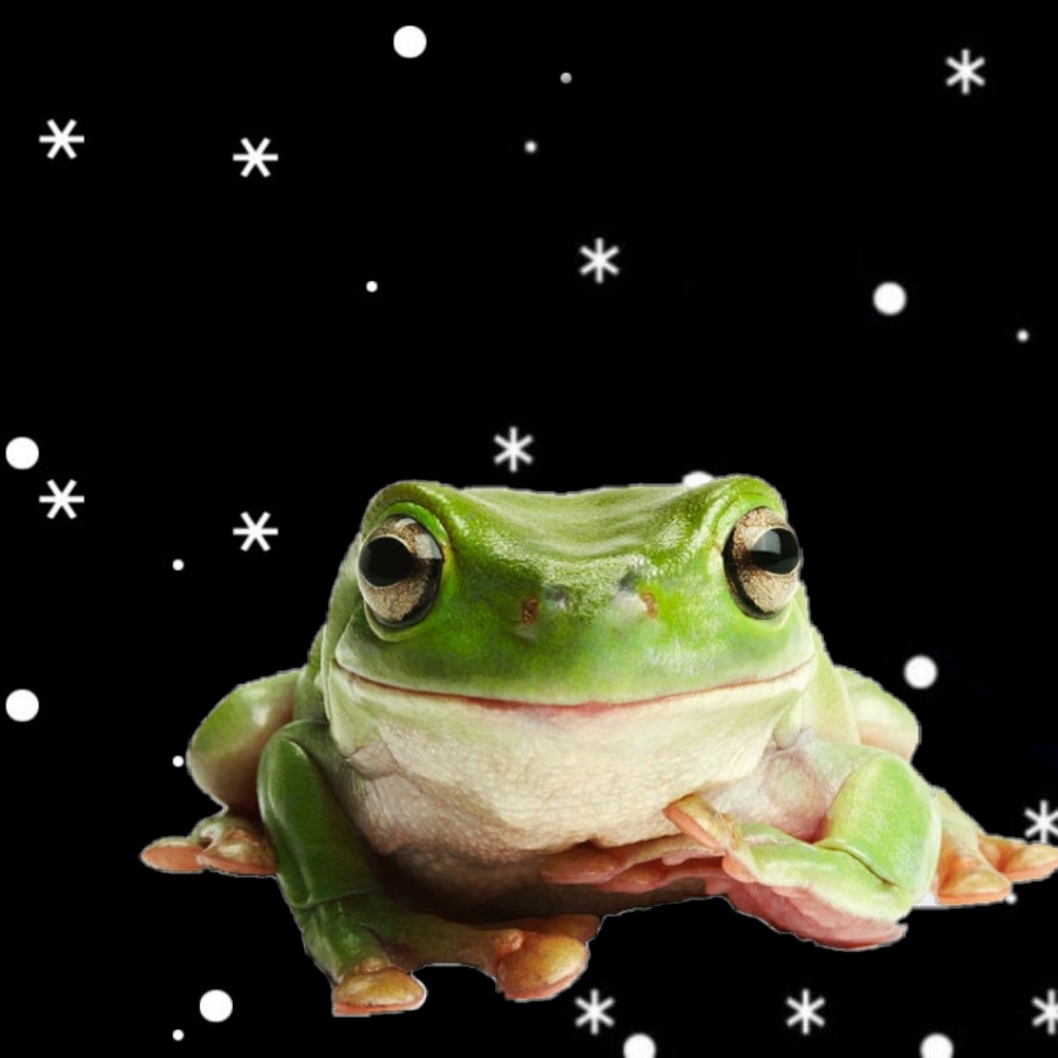 frogsforu's tweet photo. .  *    .      • .  .      :    .          • .  *   .     .      *    •  frog ☾   .        •      .       .   *       •   .  *.       *. • in     .     *         *.     .      •.       *.       .           *.    void   •*.    •  .       .*   .        *.       • . https://t.co/7bl8YCVMl3