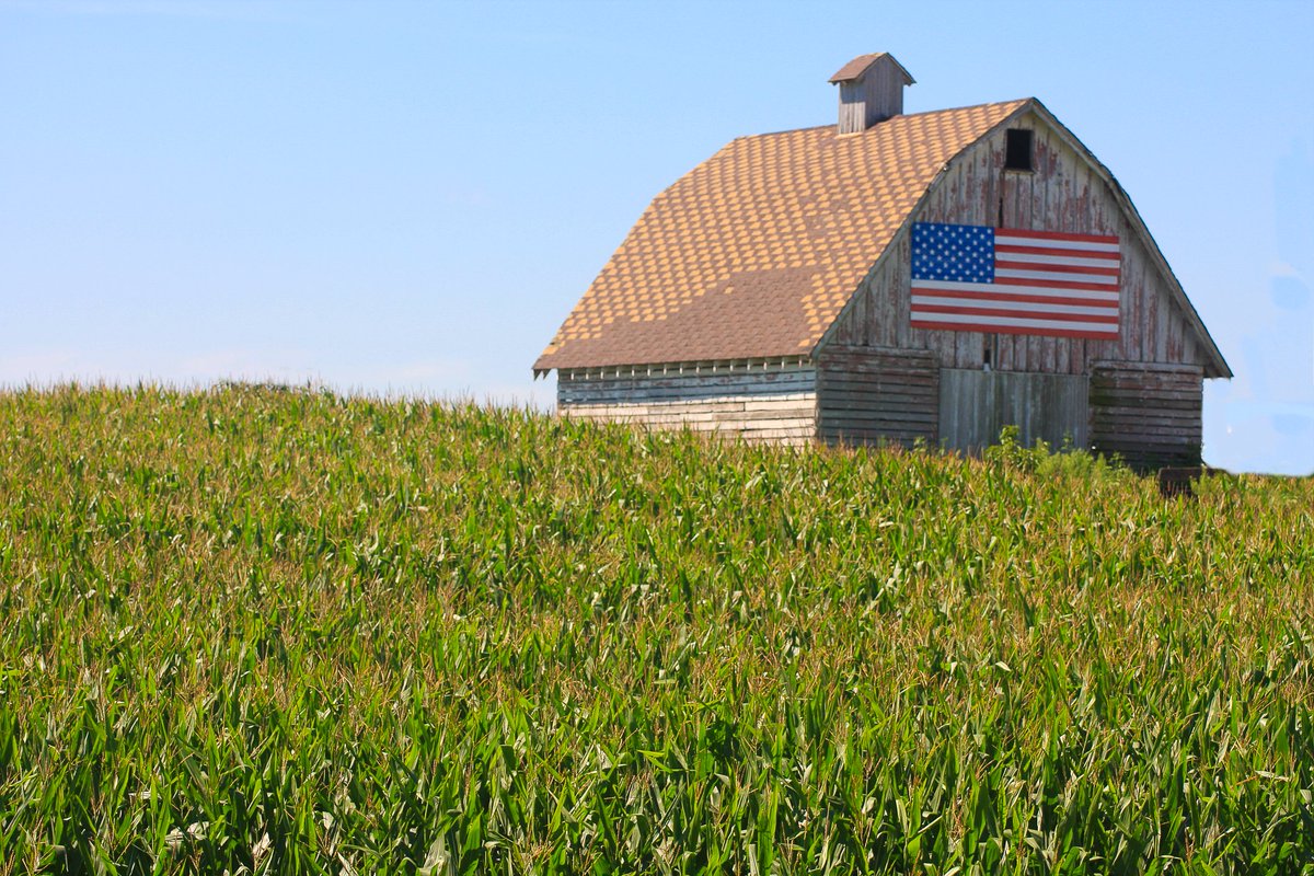 NHAgriculture's tweet image. Happy 4th of July! At 125 years old, New Holland has been around for more than half of our country's history. We are honored to have been founded in the USA! #FourthofJuly #July4th #Happy4thofJuly