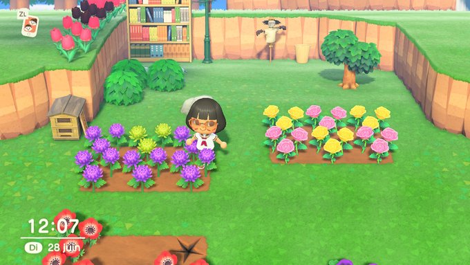 Apr&egrave;s plusieurs semaines de croisement, j'ai mon premi&egrave;re chrysanth&egrave;me vert ! #AnimalCrossing #ACNH #NintendoSwitch<a href="/tag/animalcrossing"class="tags"><span>#animalcrossing</span></a><a href="/tag/nintendoswitch"class="tags"><span>#nintendoswitch</span></a><a href="/tag/acnh"class="tags"><span>#acnh</span></a>
