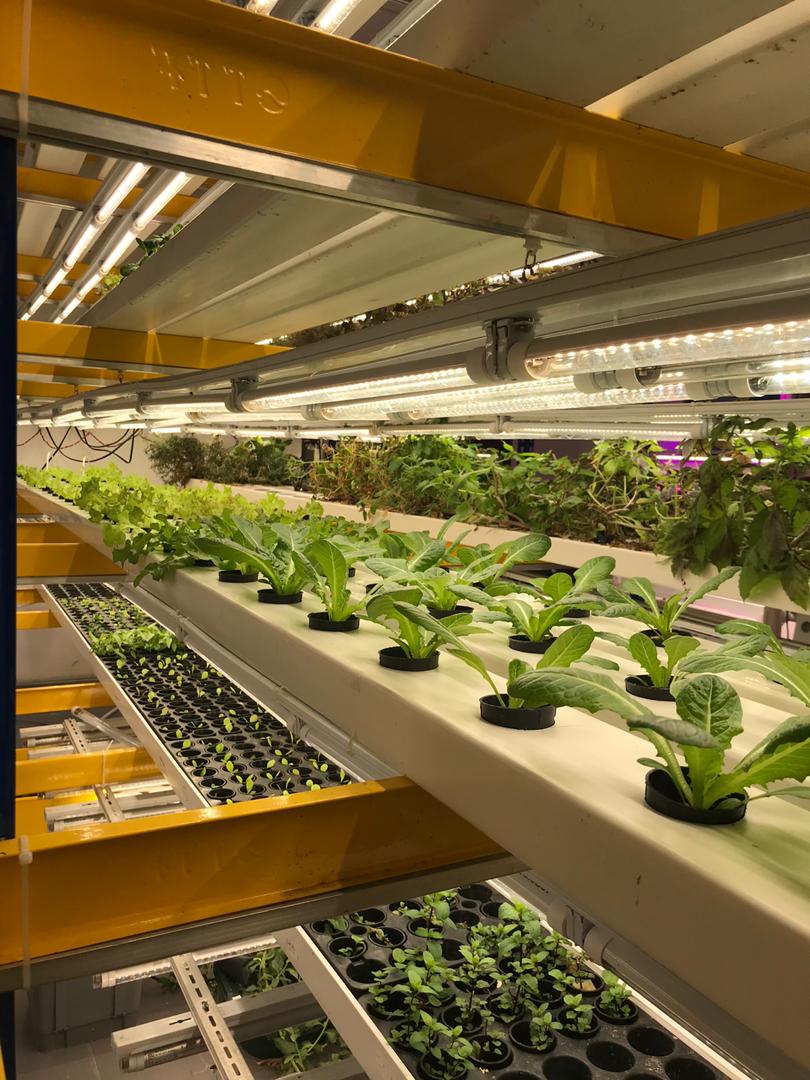 plant_OS's tweet image. PlantOS Hydroponics Auto Dosing Device in action at CityFarm! Our device comes with Sensors, Auto-dosing system and disease detection camera!
Visit our website to find out more! 
PlantOS: plant-os.com
CityFarm: CityFarm Malaysia
#hydroponics #smartfarming #IoT