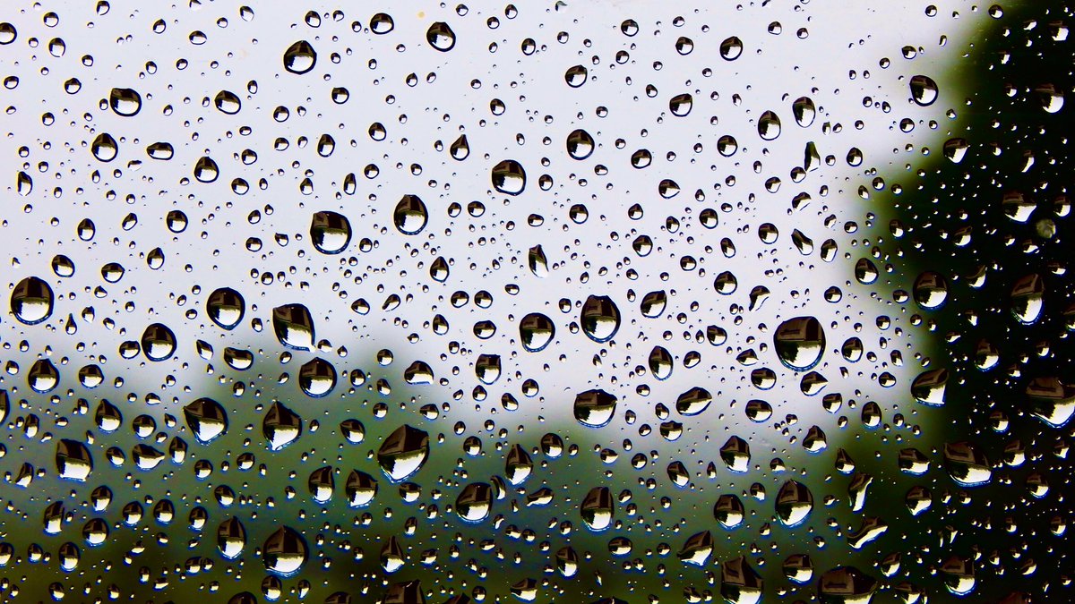 AledHall's tweet photo. Sai’n gweud bod hi’n lŷb ‘ma heddi ond co’r view sy’ gyda fi o ffenst kitchen ......💦💦💦
#diflas
I’m not saying it’s wet here this afternoon but this is my view from the kitchen window💦💦💦
#misetable
#LockdownOnTheFarm https://t.co/qyWOjkEehn