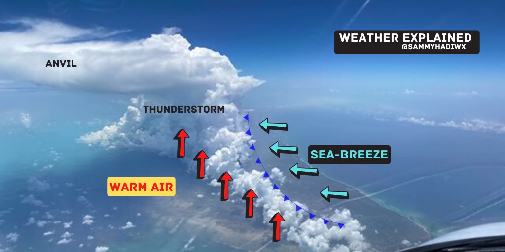 Great example of an Island Sea-Breeze over Grand Bahama. 
#WeatherExplained #SciFriday