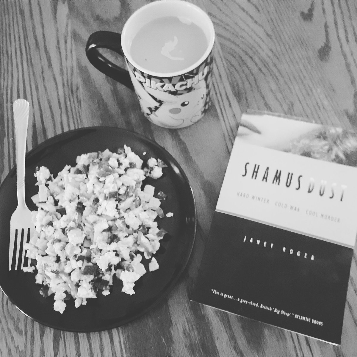 AlisBookNookCo1's tweet photo. About to start this thrilling read @shamusdust Can't wait! #janetroger #BookReview #BookReviewer #bookblog #bookblogger #crimenovel #BookBoost #booklovers #bookworm #currentlyreading #bookworm #bookobsessed #bookstagram #booksbooksbooks #shamusdust #bookclub https://t.co/M3I9xdf5Om