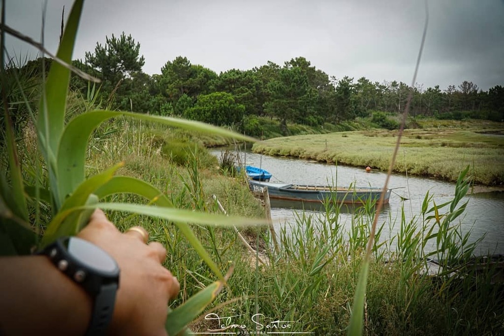 telmorbs's tweet photo. Peeking the boats
___
Follow:
@telmorbs
https://t.co/NG8QzeIwwY
___
⬇️ Prints and more! ⬇️
https://t.co/tonXKkq1pR
____________________________________________________
#peeking #obidos #lagoadeobidos #rowingboat #fishing #lake #visitobidos #watch #smar… https://t.co/4CiUJah9BW https://t.co/us31At8fzE