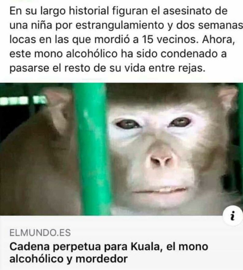 forocoches's tweet photo. PELÍCULA YA https://t.co/n61408Jtnj
