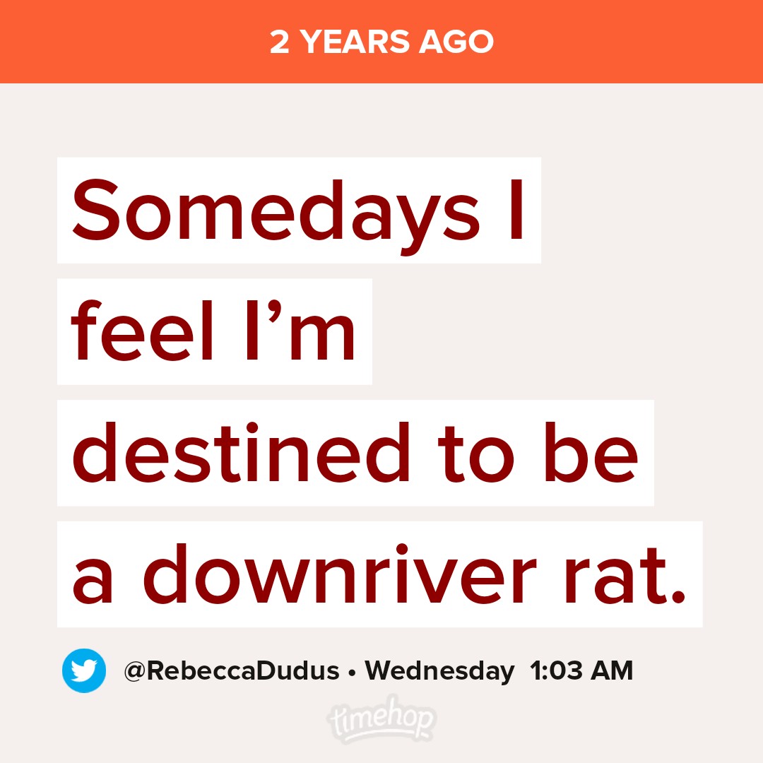 RebeccaDudus's tweet photo. still true. however, I no longer find this a bad thing. https://t.co/9ejEQGeFTD