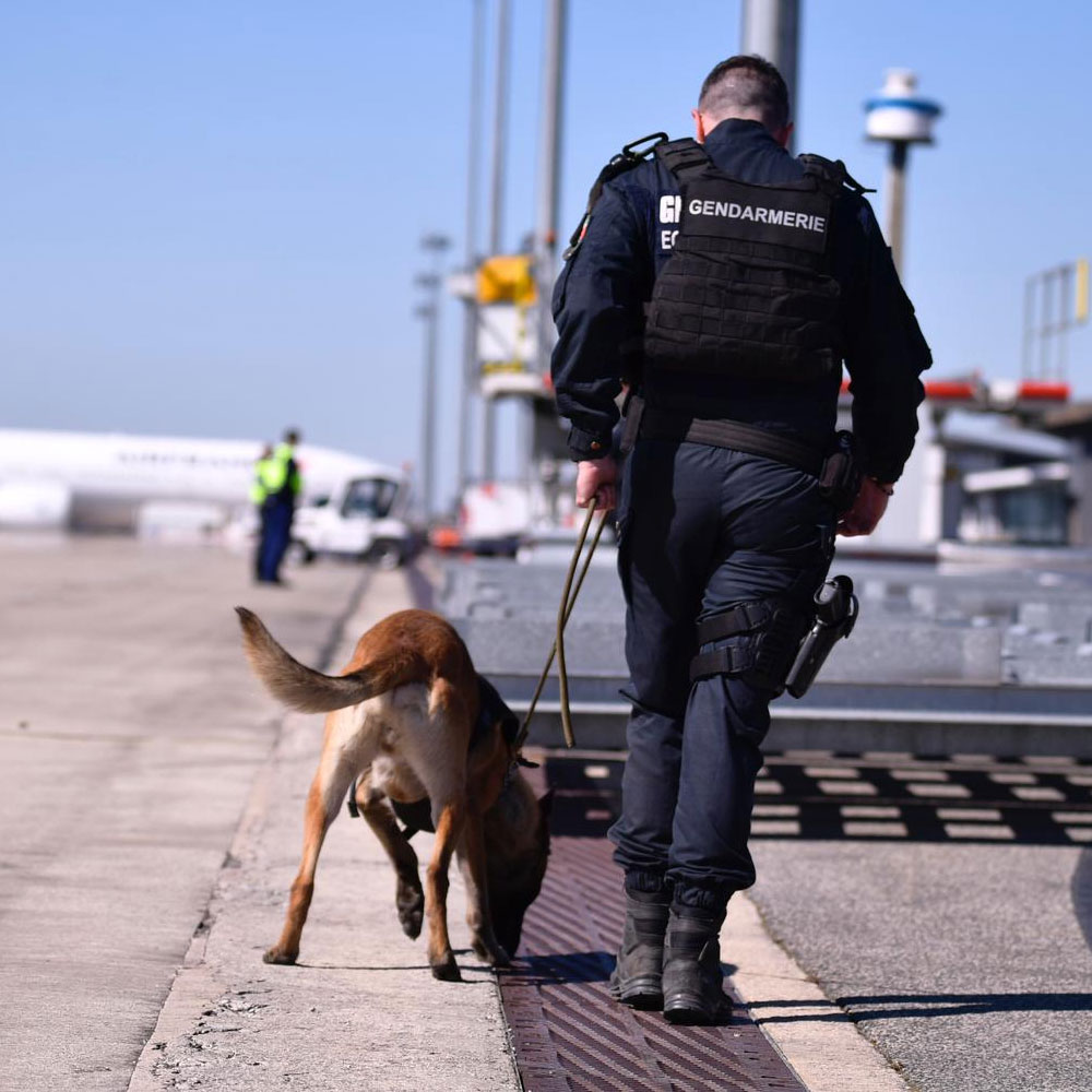 Welkitcom's tweet image. Passez un excellent weekend et encore MERCI pour votre engagement !

Photo : Gendarmerie Nationale

#welkit #solutionpro #prixbas #tactical #militaire #gendarmerie