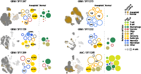 Atlases like these provide invaluable reference data for understanding human disease. We combined our developmental and adult ( https://www.cell.com/cell/fulltext/S0092-8674(18)30789-X) atlases, and show that human glioblastoma acquires an embryonic transcriptional state resembling fetal glioblasts 9/n