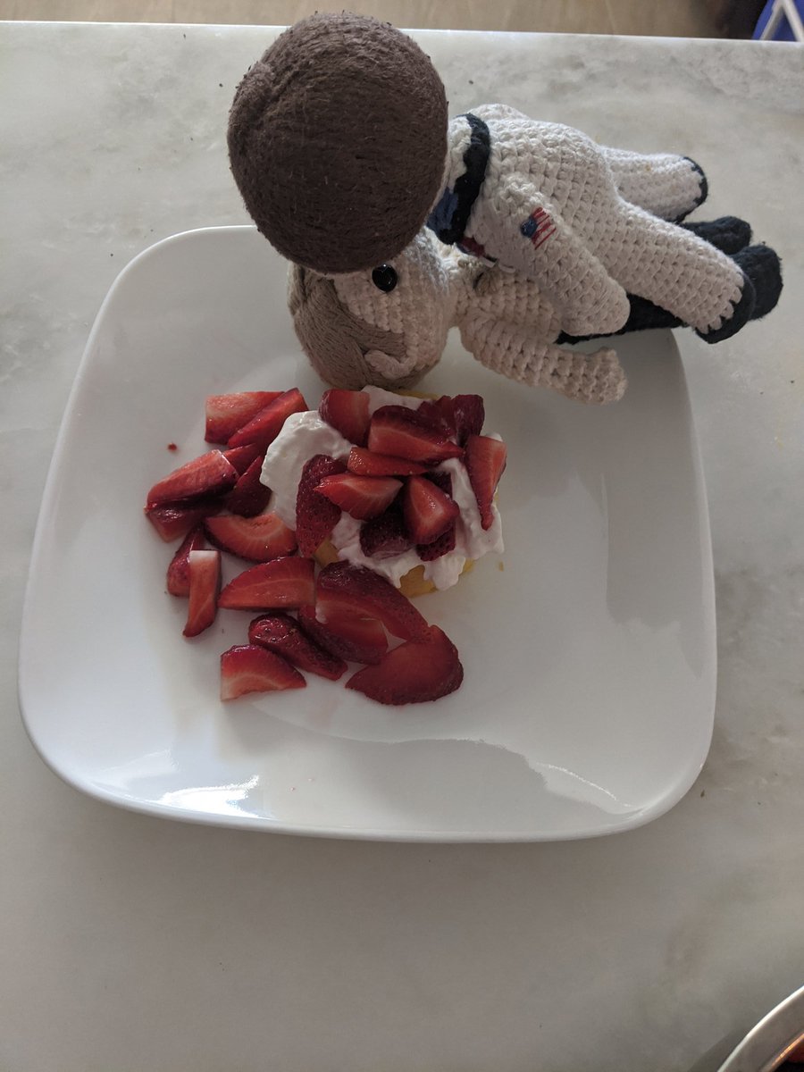 ishxallxgood's tweet photo. #FannibalBrunch featuring #Spacedogs #Yarnigel #Yarndam https://t.co/J7xU3ONZJn